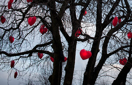 软件中心便捷的虚拟号码短信发送平台
